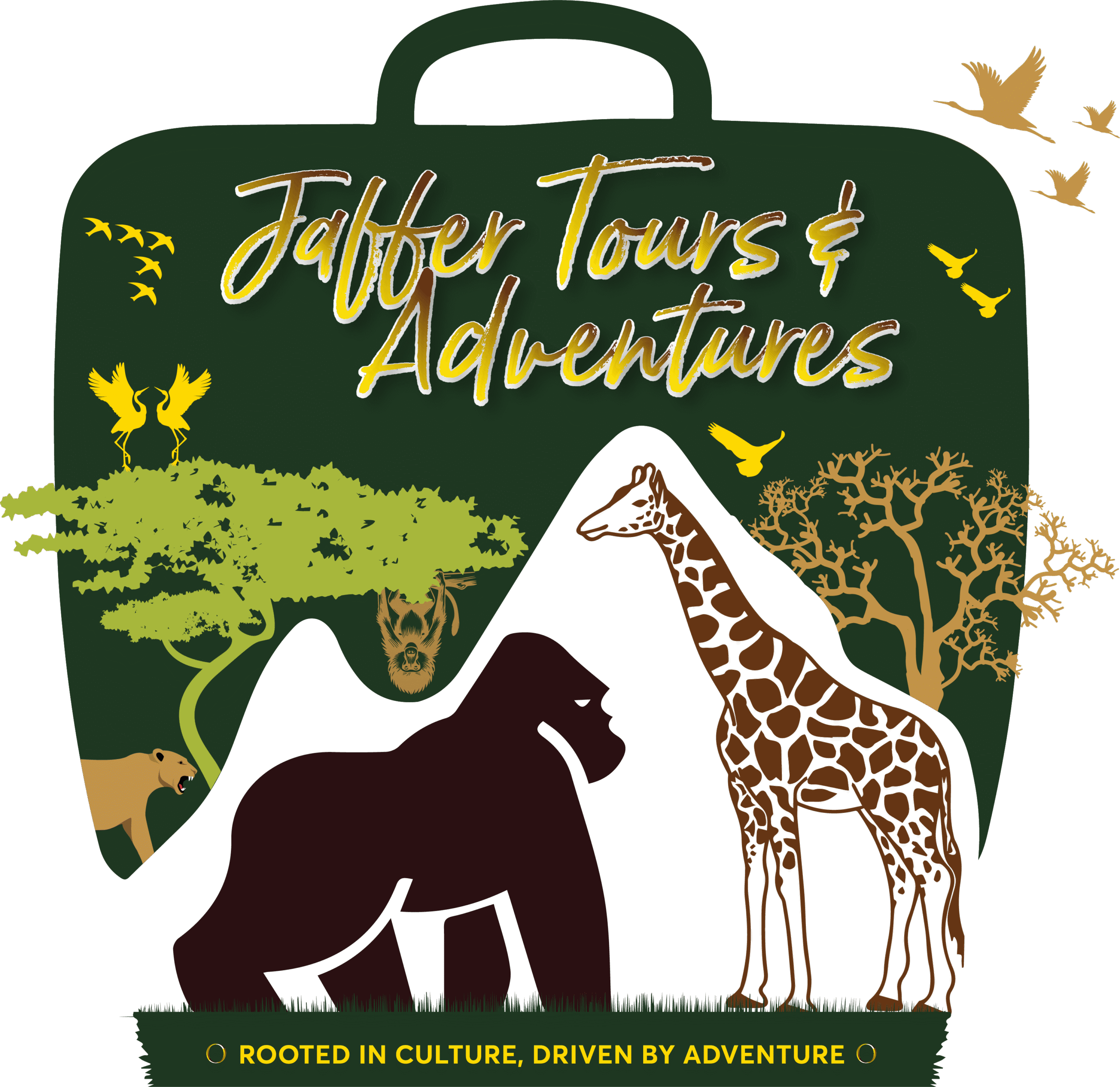 Jaffer Tours and Adventures Ltd