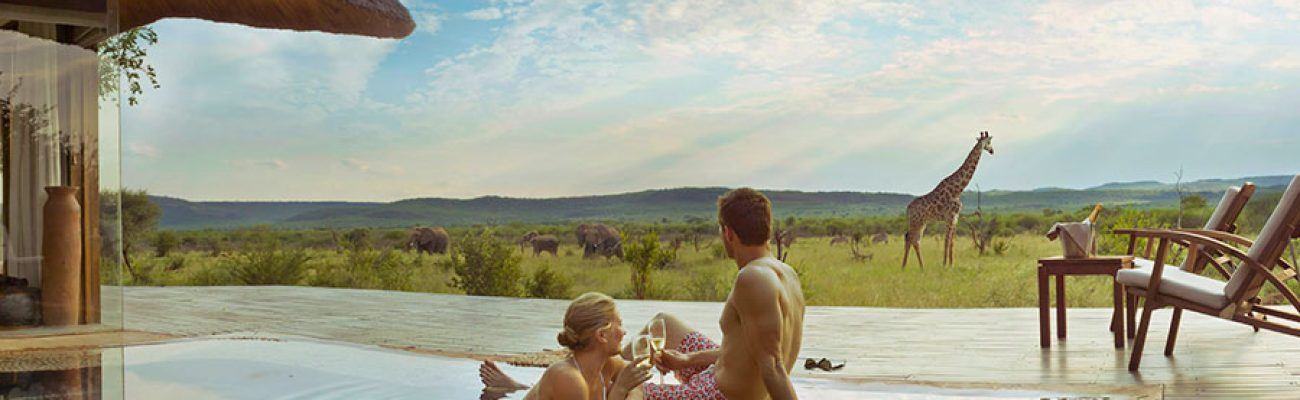 experiences-romantic-getaways-trip-madikwe-couple-elephants-giraffe-pool-900x600